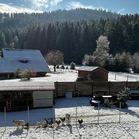 Les Cœurs Du Tilleul Gérardmer