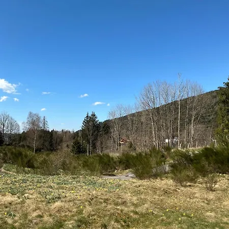 Les Cœurs Du Tilleul Appartement *