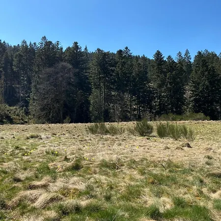 Apartmán Les Coeurs Du Tilleul *