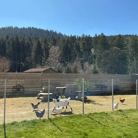 Les Coeurs Du Tilleul Apartmán Gérardmer