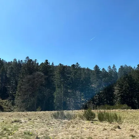 Appartement Les Cœurs Du Tilleul Gérardmer