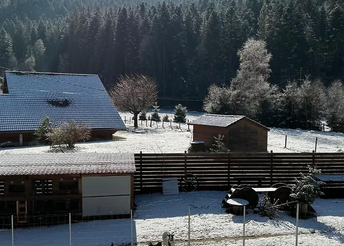 Les Coeurs Du Tilleul Gérardmer