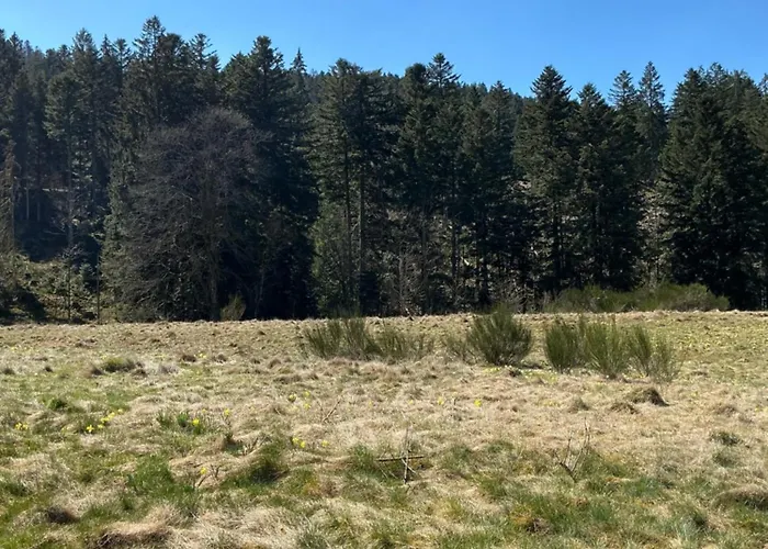 아파트 Les Coeurs Du Tilleul *