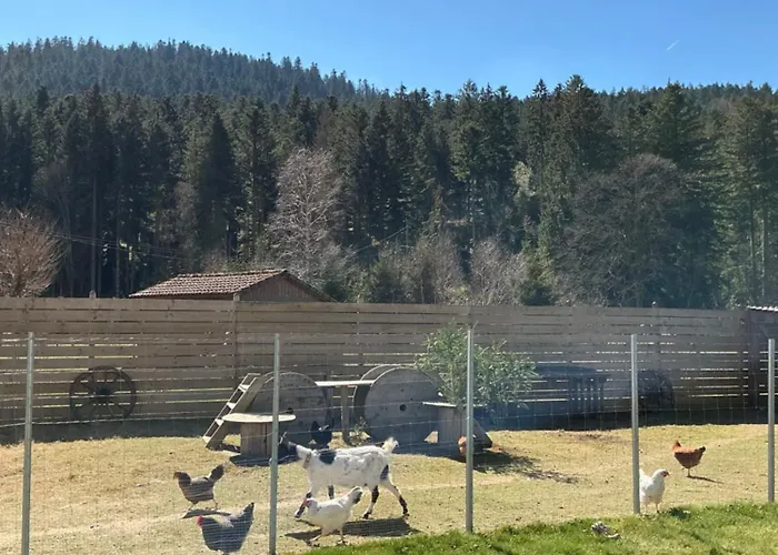 Les Coeurs Du Tilleul Apartmán Gérardmer