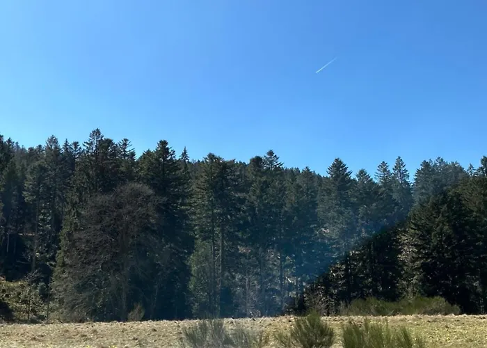 Apartmán Les Coeurs Du Tilleul Gérardmer